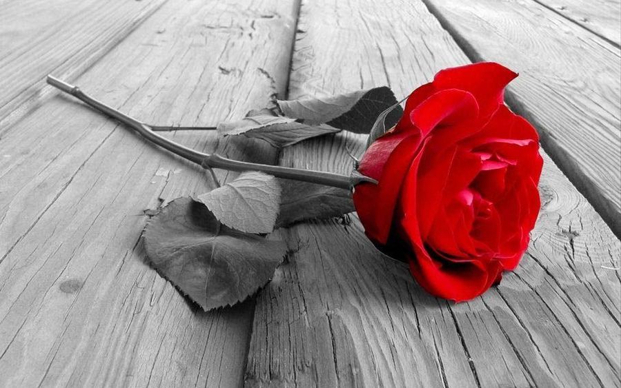 'A rose by any other name would smell as sweet' What’s in a brand name?